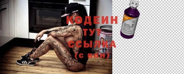 скорость Новодвинск